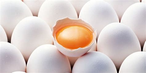 Полезно ли есть куриные яйца для потенции